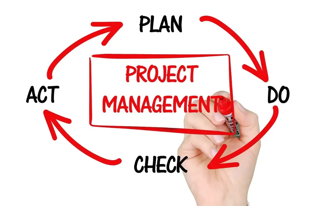 Project Management Consulting