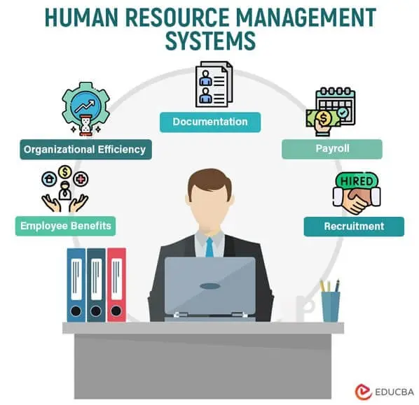Human Resource Management System & Planning | Qltc