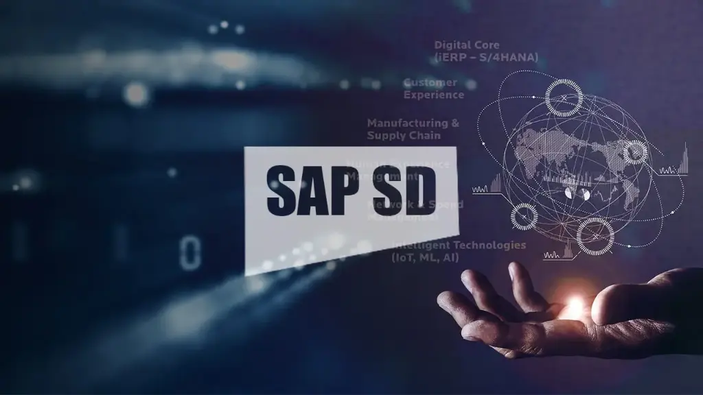 SAP SD Training | Qltc
